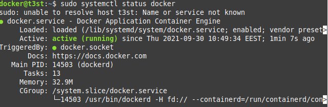 Check Docker process status