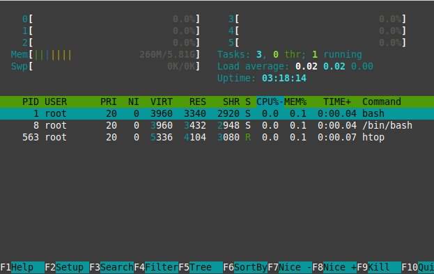 htop utility running on a Docker container