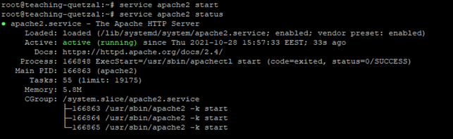 Check started Apache status