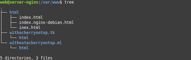 check /var/www directory tree