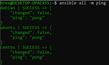 Ansible ping all servers