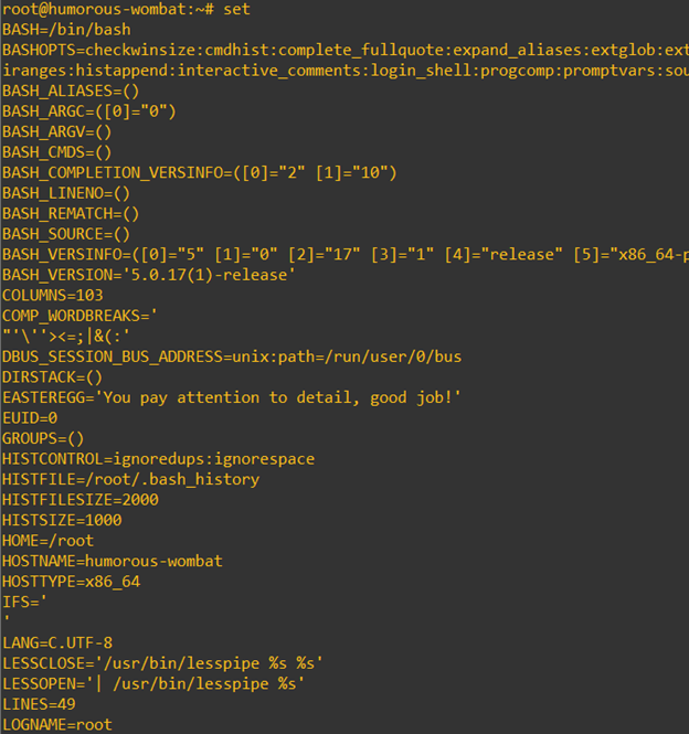 set command output