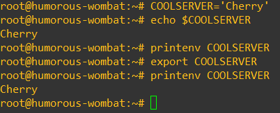 transform shell into environment variable