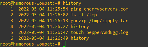 Bash history with timestamps