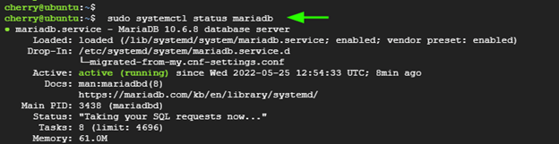 MariaDB status