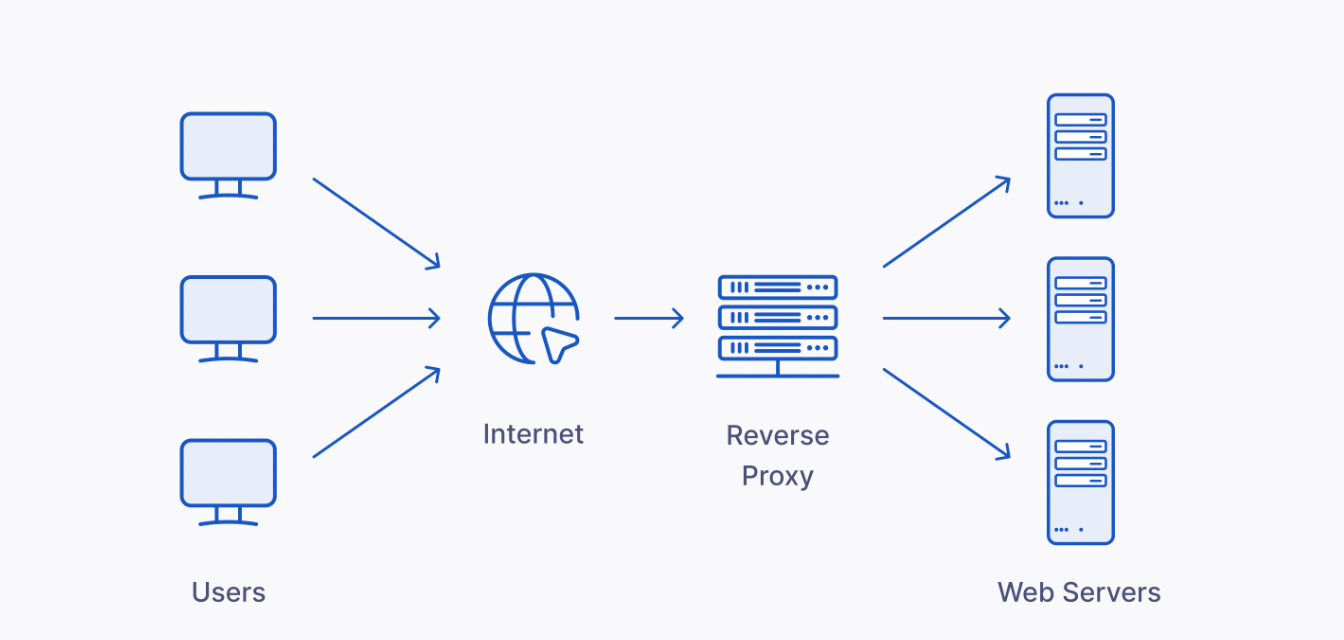 Reverse proxy scheme