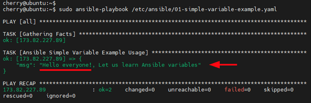 Print a single Ansible variable to terminal