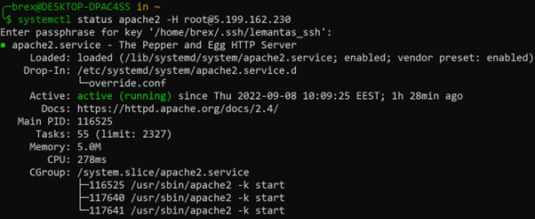 systemctl status of remote host service