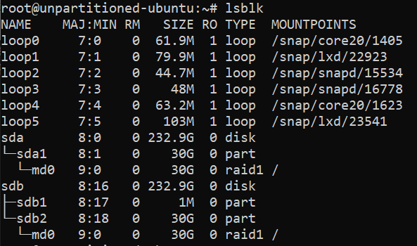 list existing disk partitions