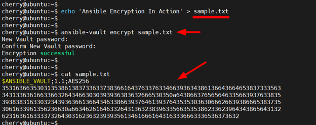 check encrypted file