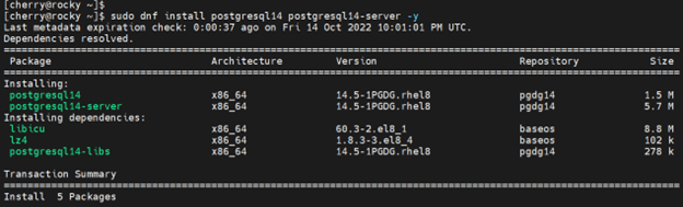 Install PostgreSQL