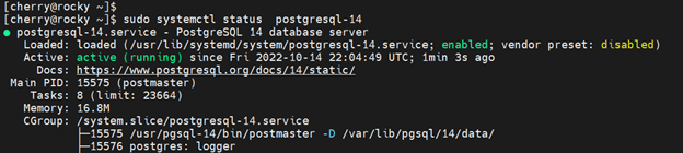Check PostgreSQL status