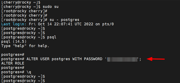 Set password for user postgres