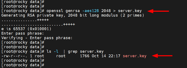 Confirm SSL key is created