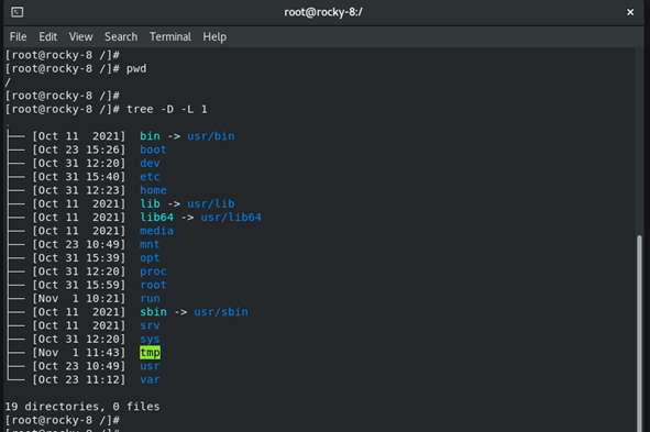 List root directory tree