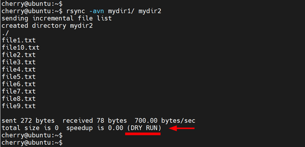 Run rsync dry run