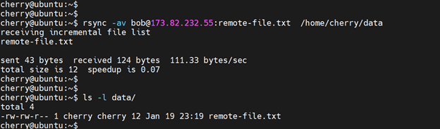 Copy a file form a remote location