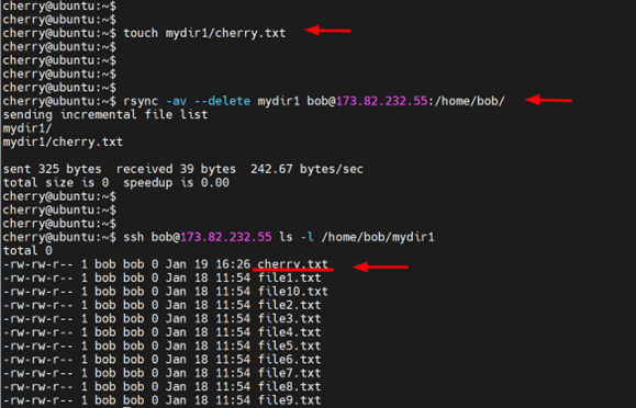 Synchronize local and remote directories