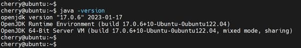 java -version