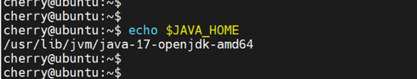 echo $JAVA_HOME