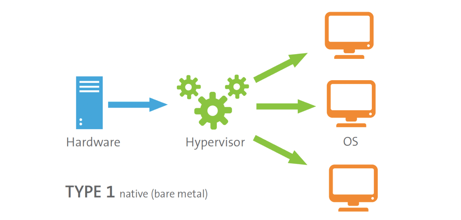 type 1 or bare metal hypervisor visualization