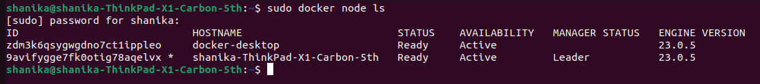 List swarm nodes
