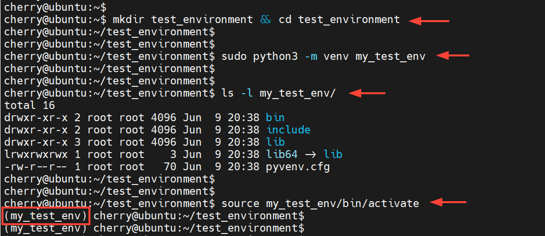 Make a Python virtual environment