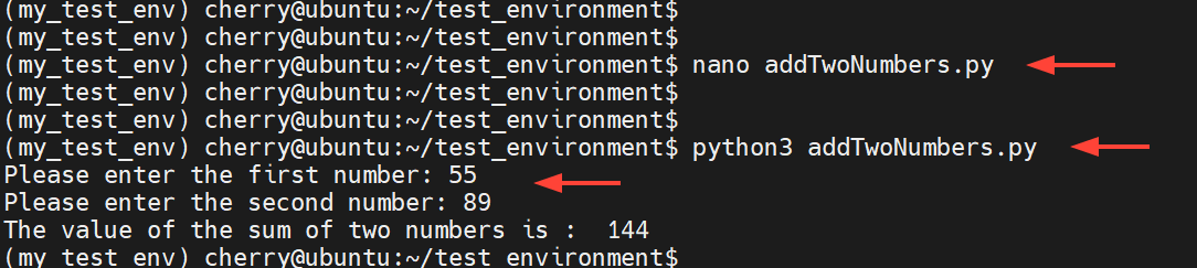Test your Python program