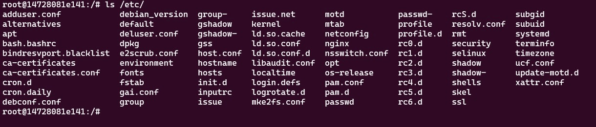 interactive shell inside container