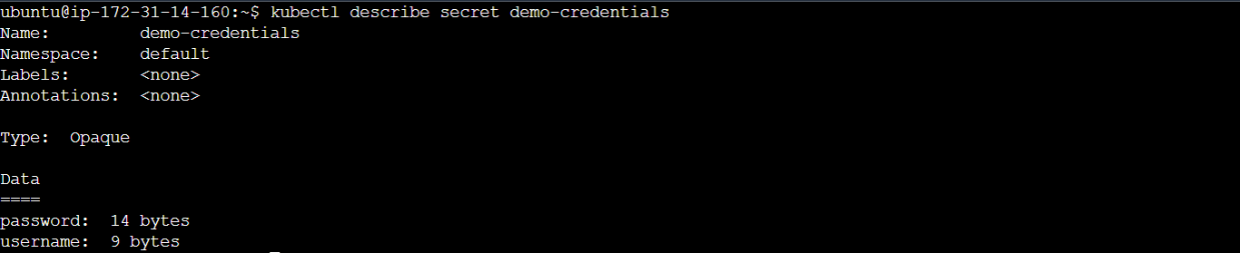 describe demo-credentials