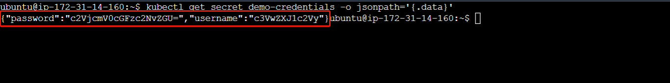 display encode format of demo-credentials secret data