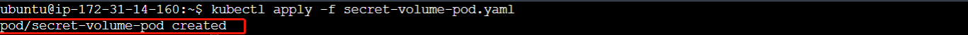 secret volume pod created