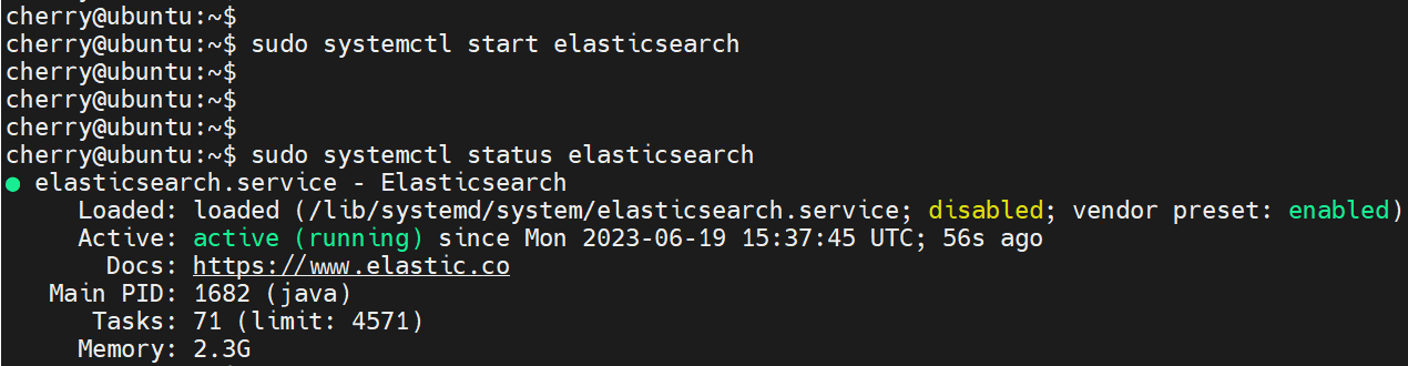 Install Elasticsearch on Ubuntu - Start Elastic for Limitless Search!