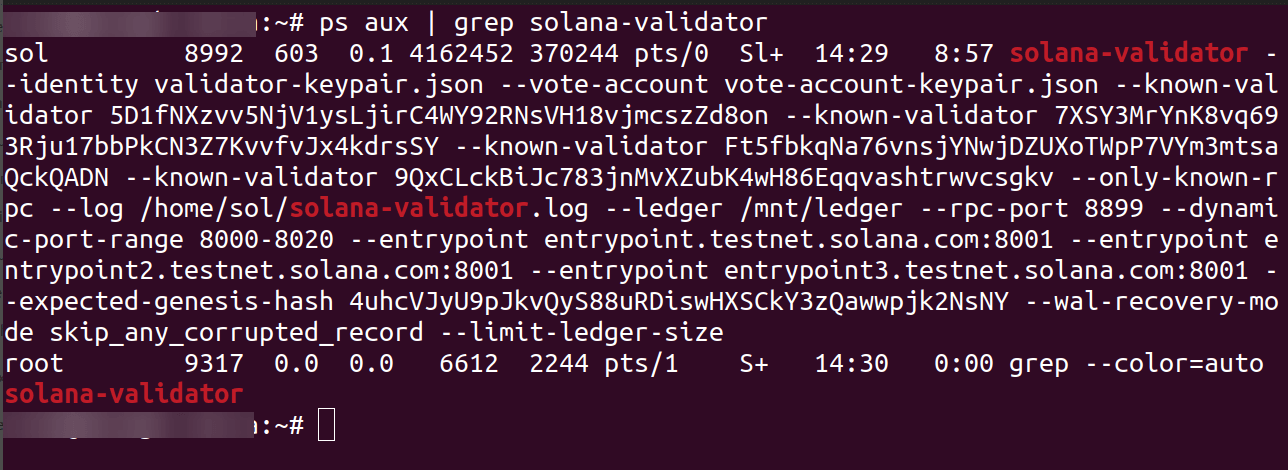 Confirm that the solana validator process is running