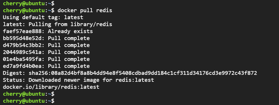 "pull-redis-docker-image"