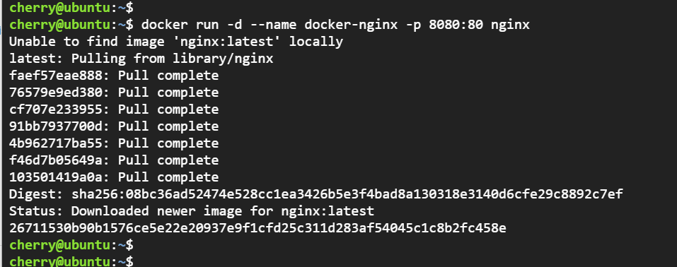 "run-nginx-docker-container-image"