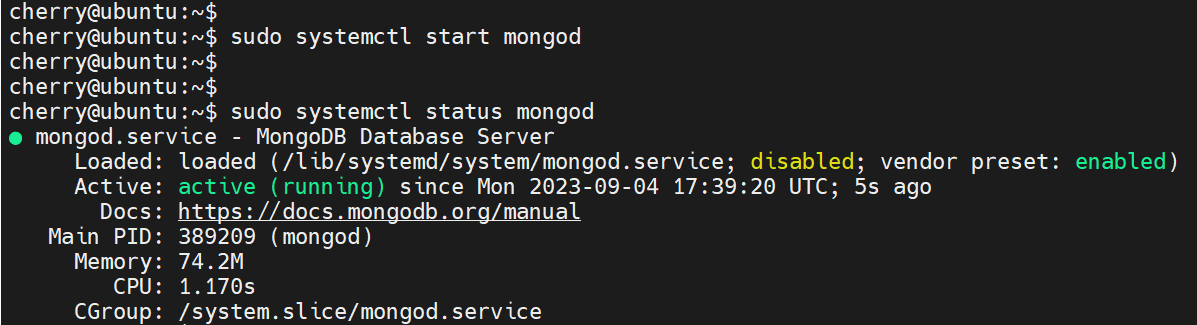 check mongodb process status