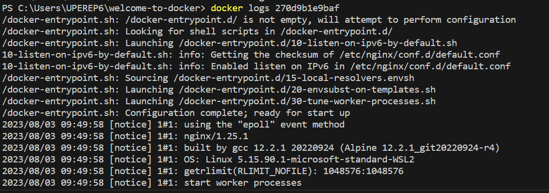 docker logs with docker logs command