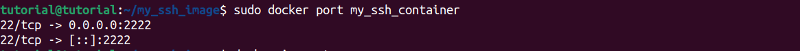 Verify SSH connectivity