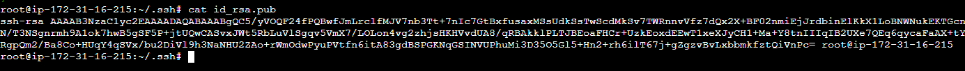 visualize the rsa public key and copy it