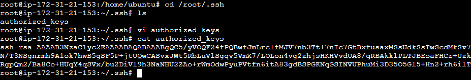 paste and save the copied RSA public key in authorized_keys file