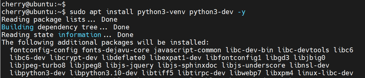 install-python-virtual-environment