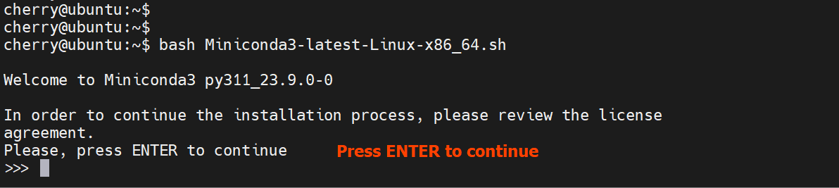 run-miniconda-script-ubuntu