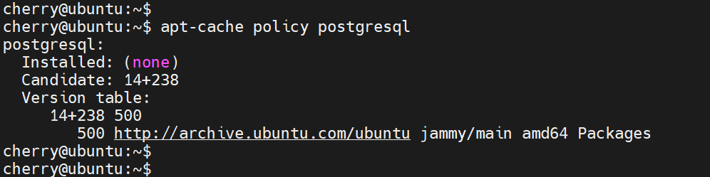 check-PostgreSQL-on-ubuntu-22.04-repository