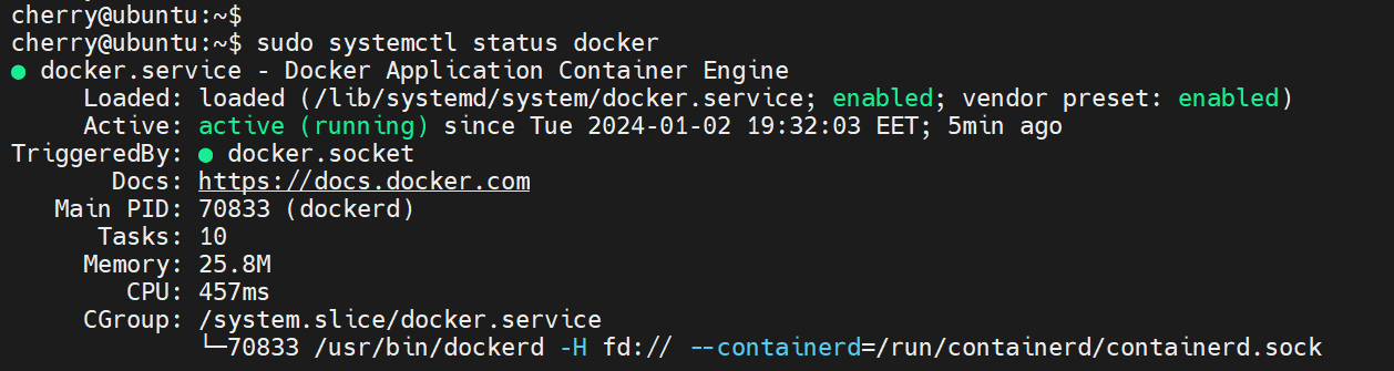 check-docker-status-on-ubuntu-22.04-repository