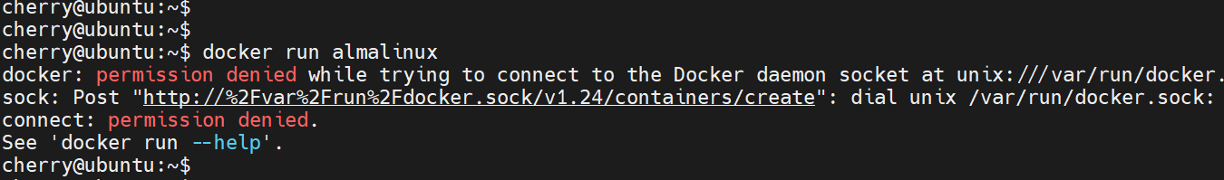 permission-error-docker-run-command