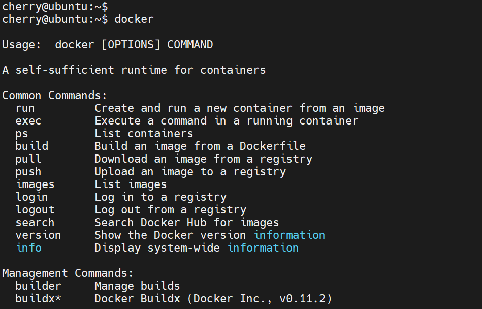 docker-command-without-arguments