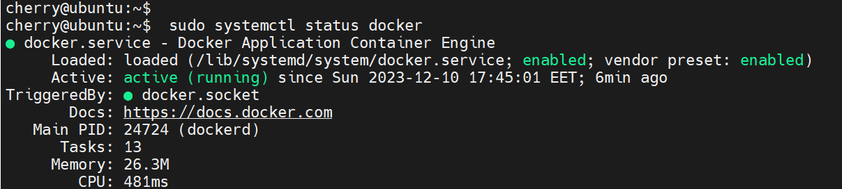 check-docker-status--ubuntu-22.04