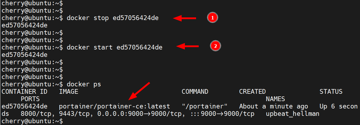 restart-portainer-docker-contaner