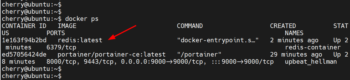 verify-running-containers-docker-portainer